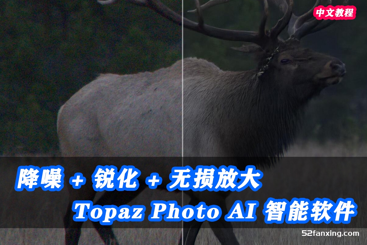 Topaz Photo AI中文使用视频教程