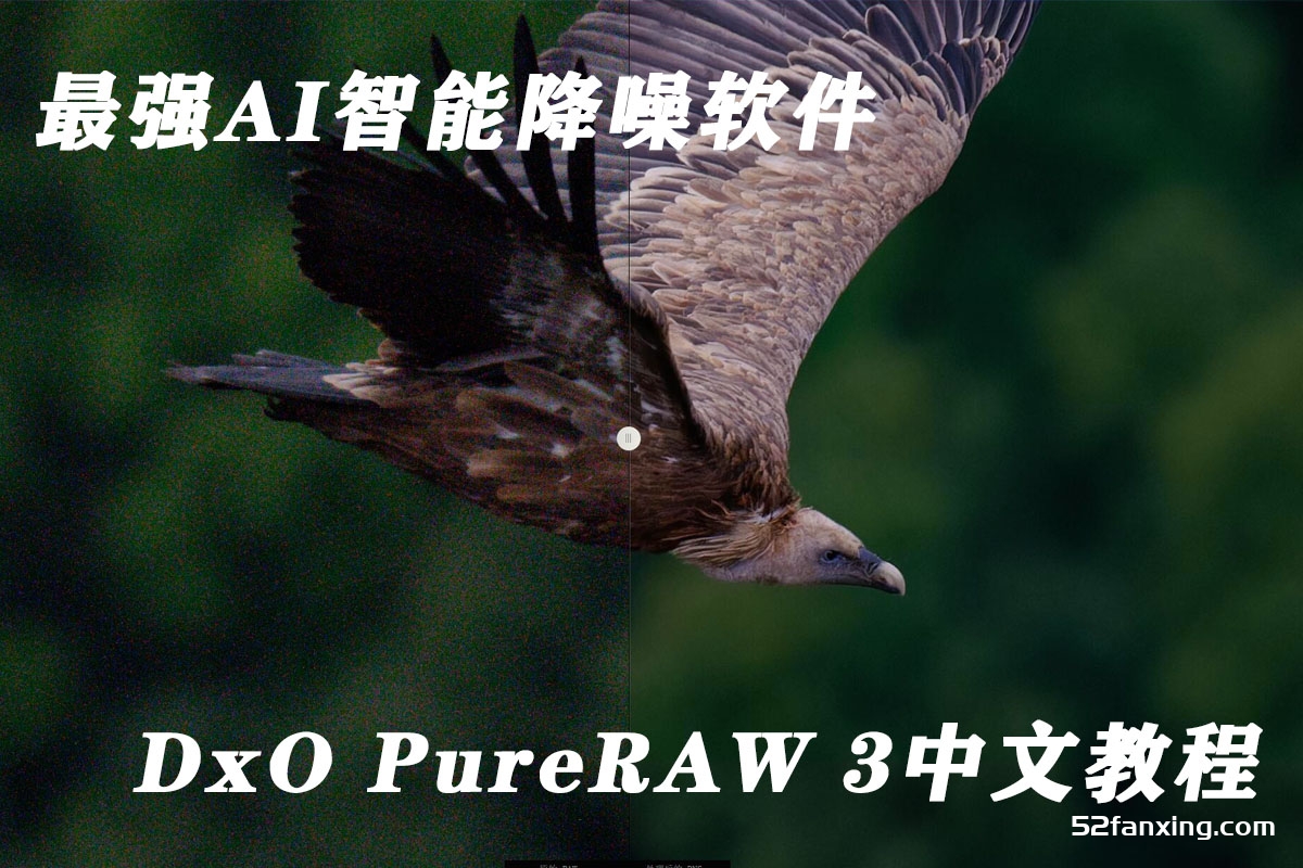 最强RAW文件前期处理软件 DxO PureRAW 3智能AI降噪软件中文教程